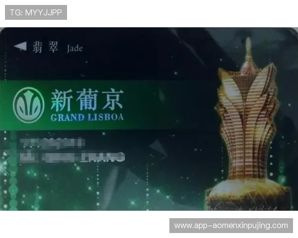 澳门新葡京app下载官方正版，保障您的资金安全与游戏体验